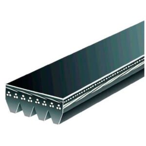 CORREA MICRO POLY V GATES