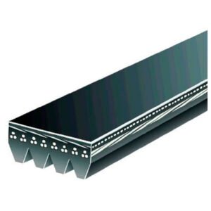 CORREA MICRO POLY V GATES