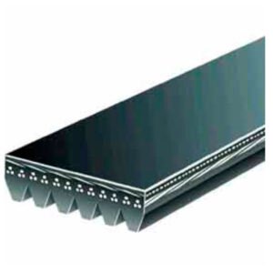 CORREA MICRO POLY V GATES