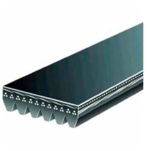 CORREA MICRO POLY V GATES