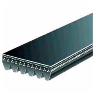 CORREA MICRO POLY V