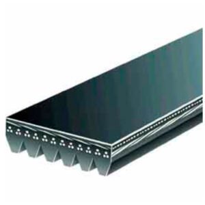 CORREA MICRO POLY V