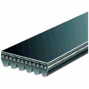 CORREA MICRO POLY V GATES