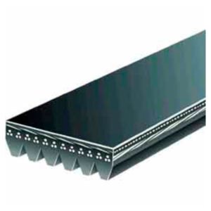 CORREA MICRO POLY V GATES