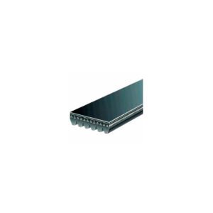 CORREA MICRO POLY V GATES