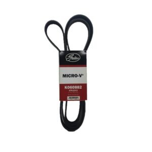 CORREA MICRO POLY V