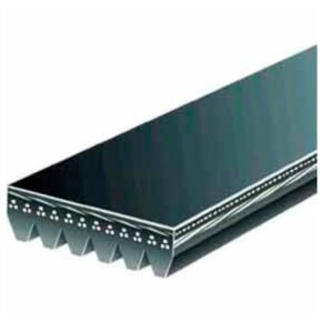 CORREAS MICRO V O POLY V