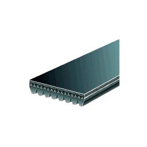 CORREA MICRO POLY V GATES