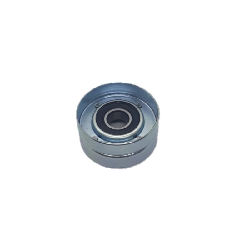 POLEA INVERSION POLY-V FORD